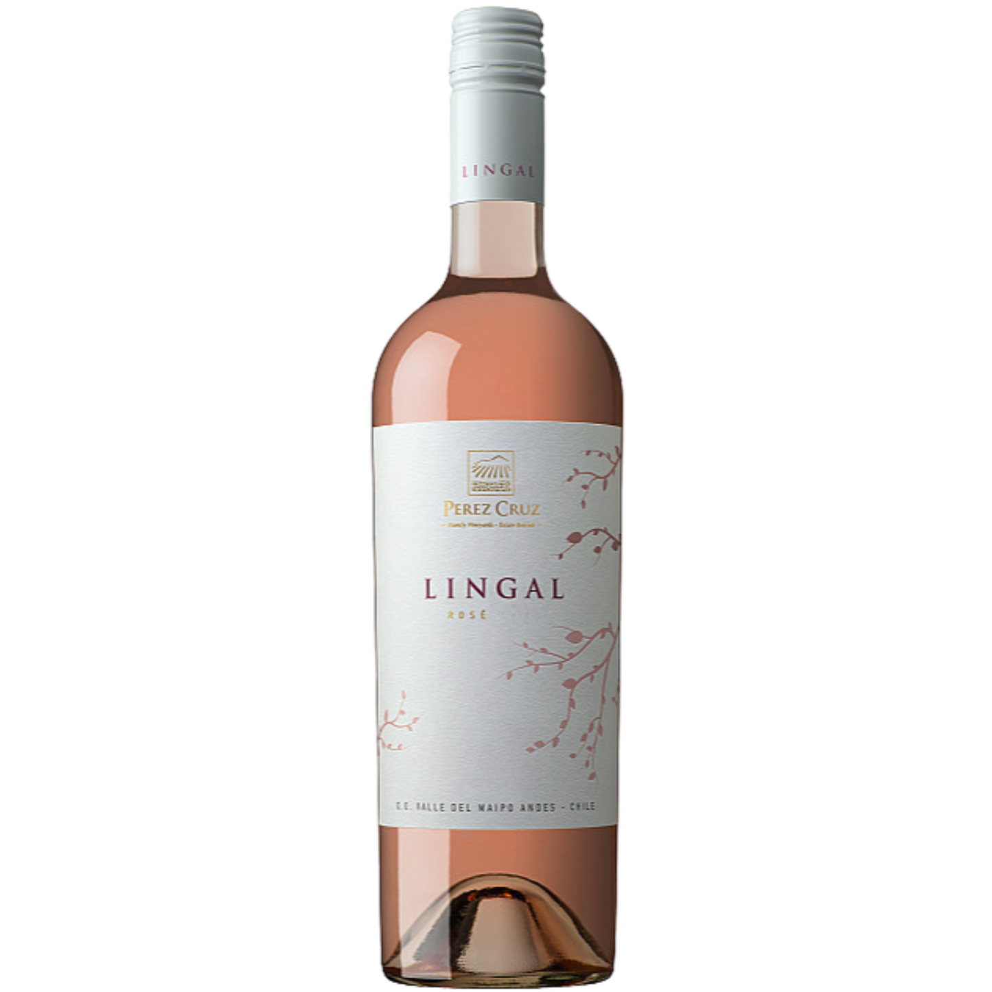 Perez Cruz Lingal Rosé